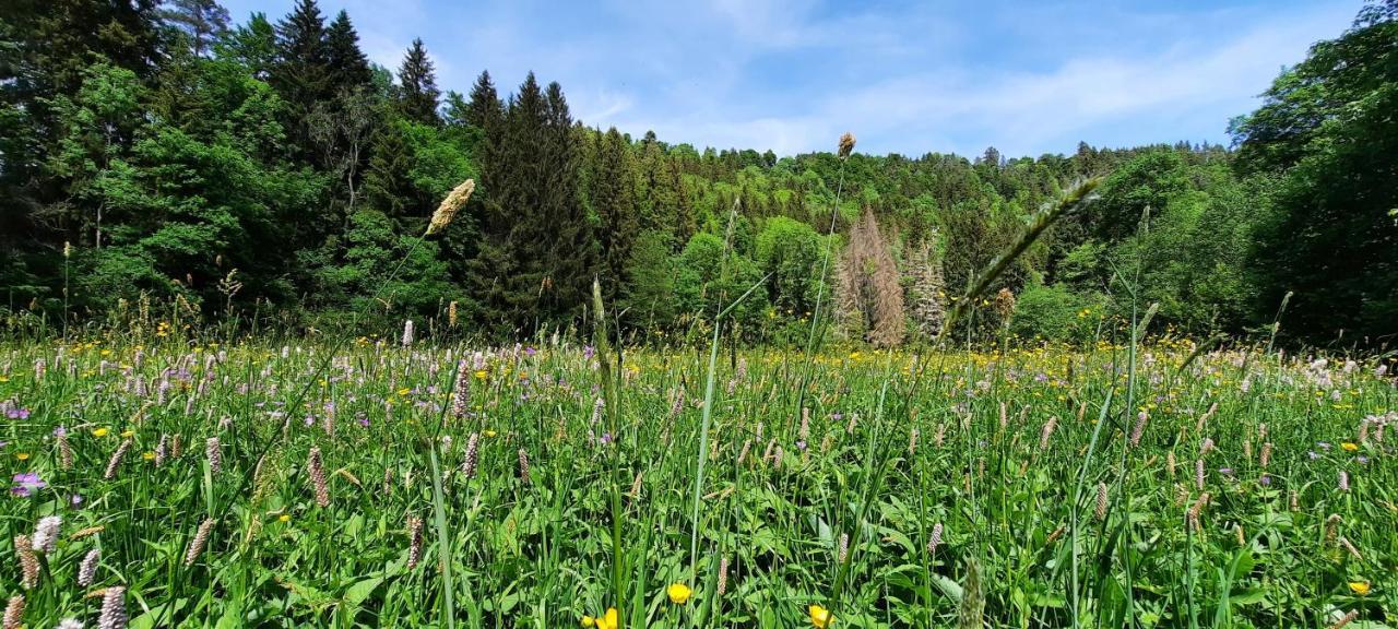 Ferienwohnung Seelust Schluchsee Dış mekan fotoğraf