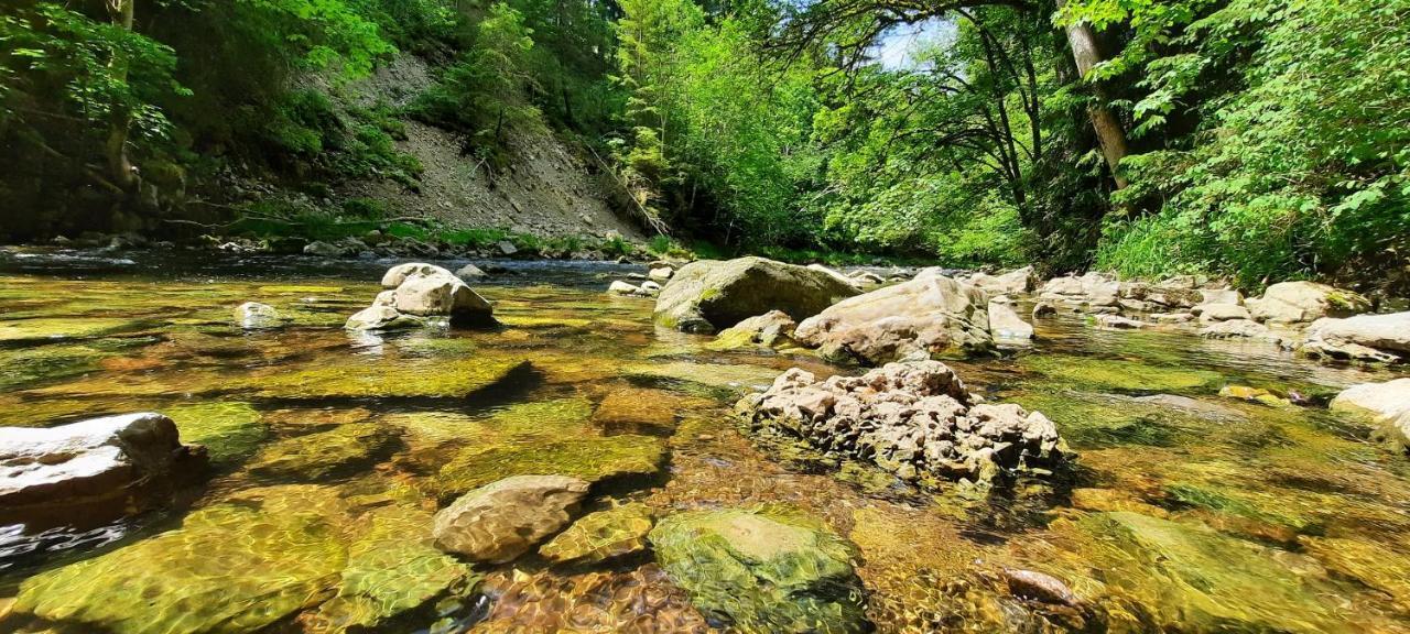 Ferienwohnung Seelust Schluchsee Dış mekan fotoğraf