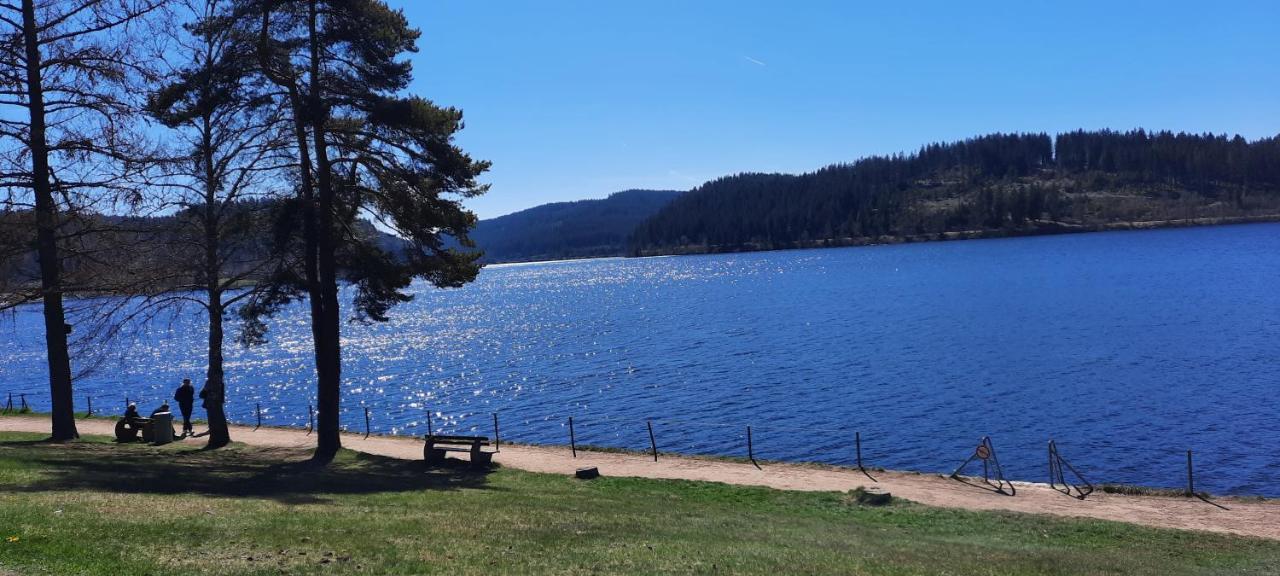 Ferienwohnung Seelust Schluchsee Dış mekan fotoğraf