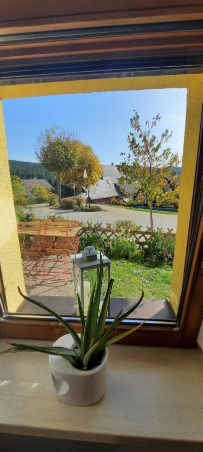 Ferienwohnung Seelust Schluchsee Dış mekan fotoğraf